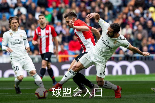 球盟会入口公司简介